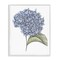 Stupell Industries Hydrangea Sketch Blossom Framed Giclee, design by Cecilia Battaini